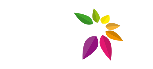Non Solo Copie logo
